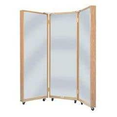 Sub Category Mirrors and Screens