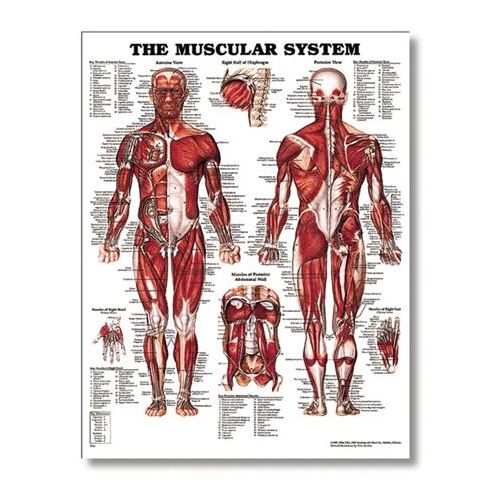 Marketing and Software