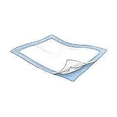 SimplicityBasicUnderpads,LightAbsorbency23x24-23X24-Bagof10