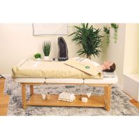 HealthyLine Platinum 360 Wrap Set Full 7224 - Photon Advanced PEMF