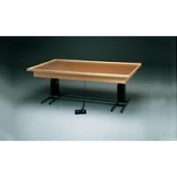 Bailey Hi-Low Mat Tables/Electric - Raised Rim, No Mat
