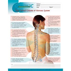 VitalConnectSpinalPosterLaminated18X24