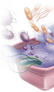 bathing basin image depicting contamination