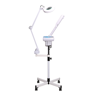 Paragon Vaporizer Steamer And Magnifying Lamp