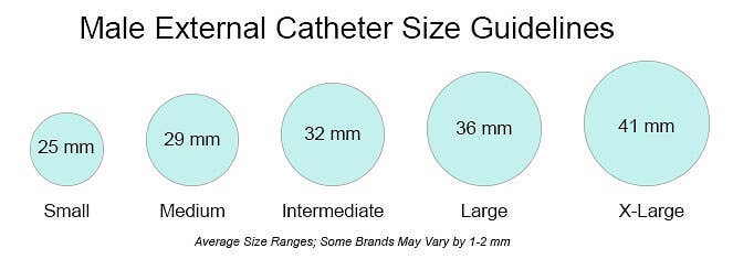 External Catheter Size Chart Male External Catheter Size Chart